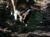 cimg_0897