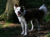 cimg_0910