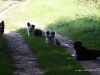 cimg_0912