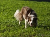 cimg_0924