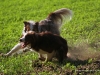 cimg_0928