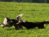 cimg_0933
