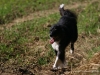 cimg_0936