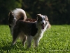cimg_0973