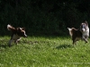 cimg_0980