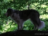 cimg_0997