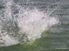 cimg_2945