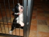 comp_dsc01636