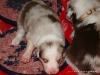 comp_dsc01640