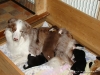 comp_dsc01645