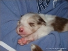 comp_dsc01649