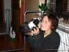 comp_dsc01653