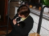 comp_dsc01655