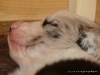 comp_dsc01663