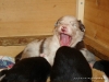 comp_dsc01664