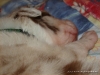 comp_dsc01665