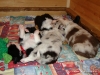 comp_dsc01670
