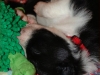 comp_dsc01671