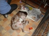 comp_dsc01680