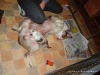 comp_dsc01681
