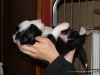 comp_dsc01685