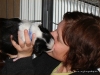 comp_dsc01686