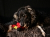cIMG_4926