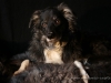 cIMG_4943