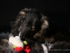 cIMG_4960