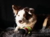 cIMG_5038