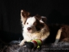 cIMG_5085