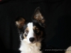 cIMG_5182