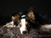 cIMG_5221