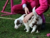 cIMG_2442