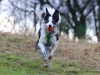 cIMG_2676