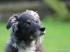 cIMG_3357
