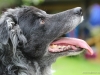 cIMG_3420