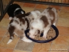 comp_dsc01690