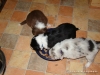 comp_dsc01691