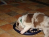 comp_dsc01701