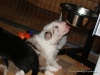 comp_dsc01703