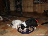 comp_dsc01705