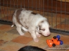 comp_dsc01707