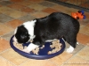 comp_dsc01708