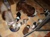 comp_dsc01712