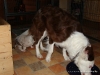 comp_dsc01717
