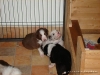 comp_dsc01724