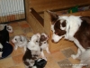 comp_dsc01727