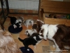 comp_dsc01728