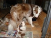 comp_dsc01740